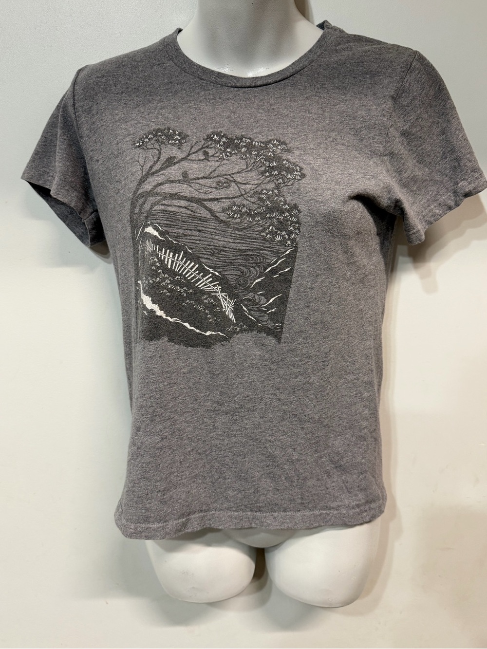 Women’s gray Patagonia t-shirt.